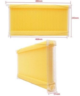 China BPA Free Langstroth/Australia Honey Flow Bee Hive Frame Food Grade Plastic Frame(7 pcs) for sale