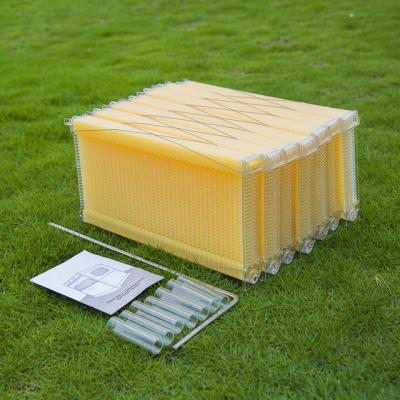 China Auto Honey Flow Bee Hive Plastic Frame Food Grade Flow Beehive Frame Price for sale