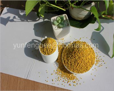 China China Fresh Rape Raw Wild-Crafted Bee Pollen Bulk Packing Supply for sale