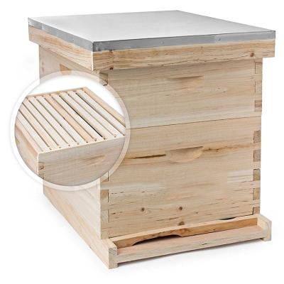 China 8/10 Frame Langstroth Honey Bee Hive Box for sale