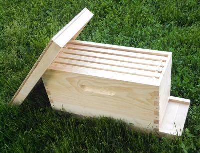 China Beekeeping4/ 5 Frames Wooden Bee Nuc Boxes for queen bees for sale