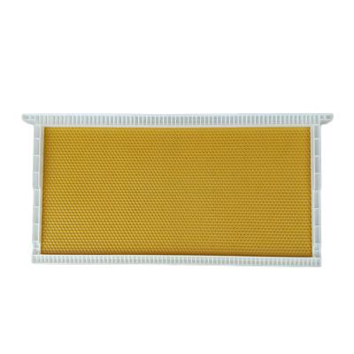 China Plastic Frame with Foundation Sheet Langstroth Plastic Bee Hive Frame for sale