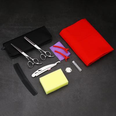 China Thinning Scissors Hairdressing Scissors Case Hair Cutting Professional Hair Scissors Barber Scissors for sale