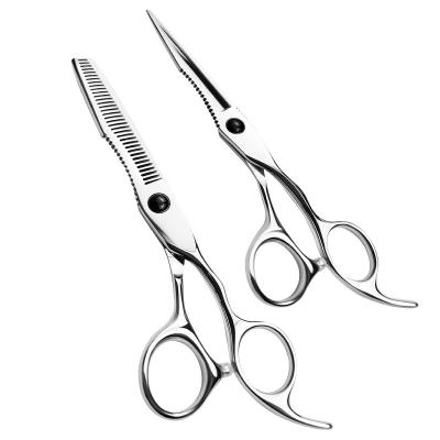 China Thinning Scissors 6 Inch 440C Japanese Steel Barber Professional Hair Thinning Cutting Scissors for sale