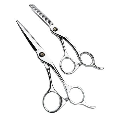 China Thinning Scissors 6 Inch Professional Hair Cutting Promotion Low Price Stainless Steel Scissors for sale