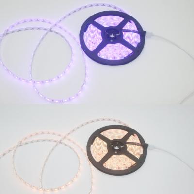 China Hot Selling Theme Park LED Strip Lighting Voice Activated Color Changing Wifi Strip Light for sale