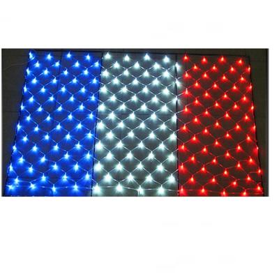 China Decoration New Style Customized National Flag Led Fish Net Light for sale