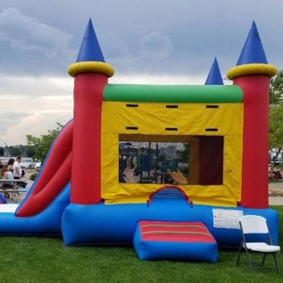 China Eco-Friendly Big Adult Awesome Pastel Homes Wholesale Craigslist Bounce House For Sale for sale