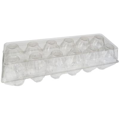 China Recyclable Wholesale Disposable Transparent Plastic PET Egg Tray / Box With 20 Cells for sale