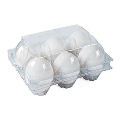 China China Recyclable Clear Factory Wholesale Plastic PET Egg Tray Packaging for sale