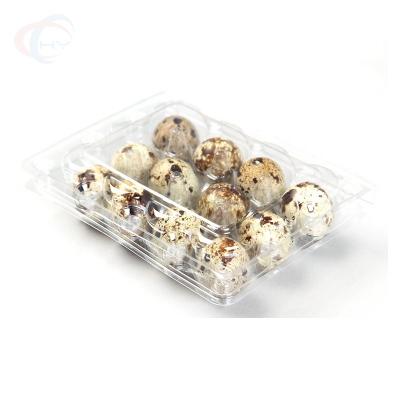 China 12 Holes Recyclable Clear Transparent Plastic Cells Quail Egg Cartons Machine Cages Machine for sale