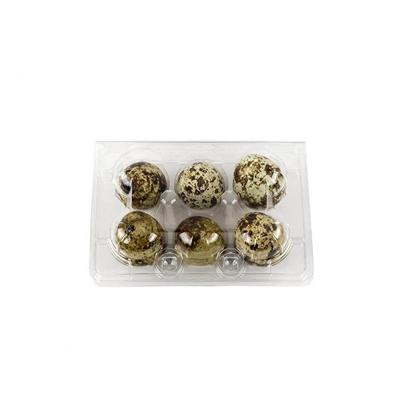 China Recyclable Disposable Clear Transparent 6 Holes Quail Egg Packaging Tray Box Plastic Cell Crate for sale