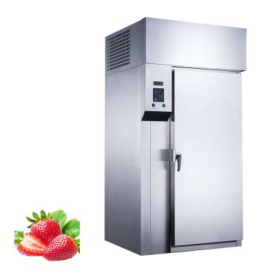 China Single-temperature Tray Fast Food Air Freezer 26 -35 Degree Shock Freezer Blast Freezer for sale