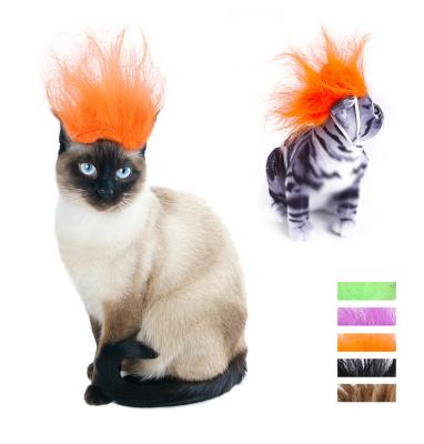 China Funny Viable Pet Halloween Sset Wig for sale