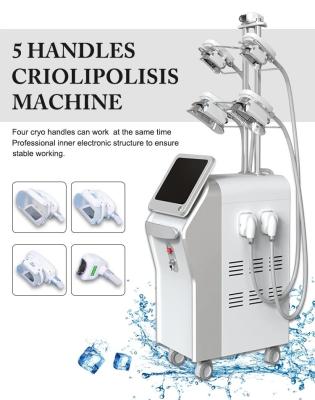 Chine Les poignées de Cryo de la verticale 4 fonctionnent en même temps le corps de dispositif de Cryolipolysis sculptent le régime à vendre