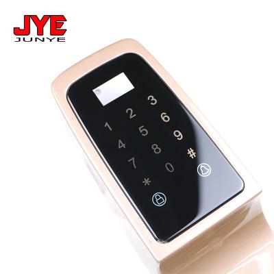 China Smart Home Smart Door Lock Panel Access Card Swiping Touch Smart Lock Glass Panel for sale