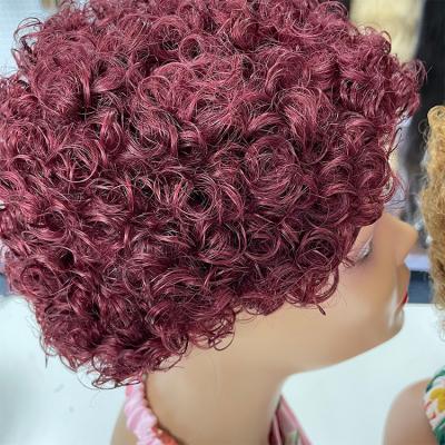 China Jerry Curl Wholesale Hair Wig Pixie Cut Wig Hair Pixie Short Hair Wig for sale