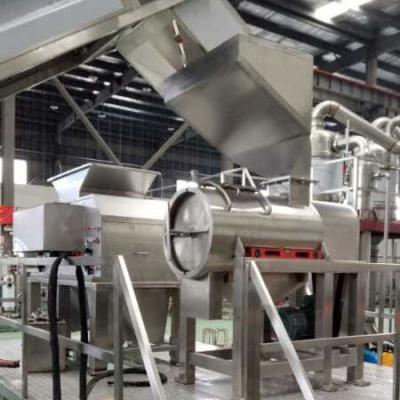 China High output 2TPH banana pulp juice puree processing line crusher turbo refiner separator sterilizer full line on sell for sale