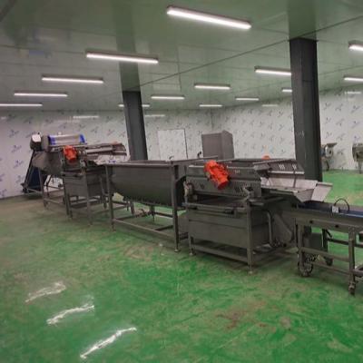 China diced fruit cube processing line packed in plastic bag UHT and HPP sterilizer for option Te koop