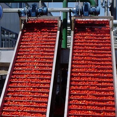 Chine tomato paste processing line 304/316 material, automatic operation and less labor, installation offered à vendre