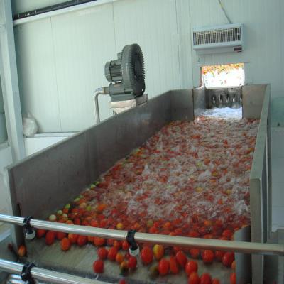 Chine 500kg/hr processing capacity tomato ketchup processing equipment à vendre