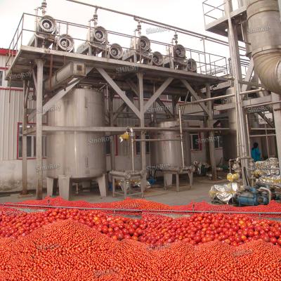 Chine 10 Tons Per Hour Tomato sauce puree paste ketchup processing line/Tomato paste production line machines à vendre