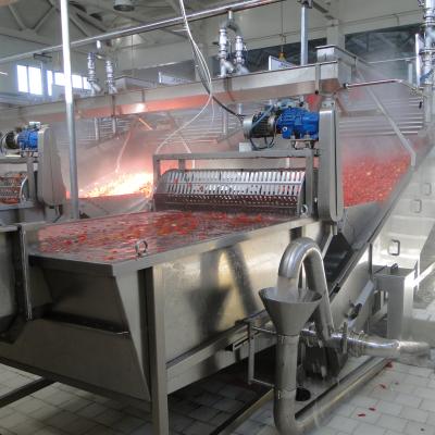 Chine Processing line for pepper paste making/pepper seeds and peel removing and pulping machine high yield good color products à vendre