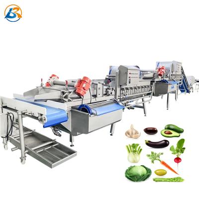 China Professional Crayfish Washing Machine Salad Washer Cherry Cleaner Chili Onion Carrot Potato Washing Machine For Sale for sale