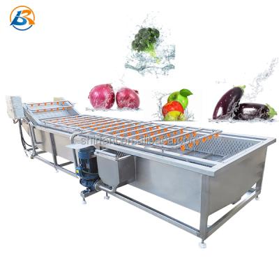 China Huilai Small Scale Carrot Bubble Cleaning Equipment Automatic Coconut Pumpkin Ozone Sterilize Washing Machine for sale