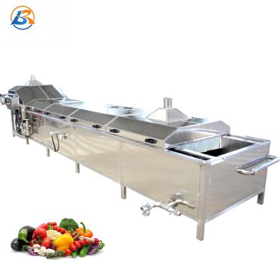 China Fruits and vegetables carrots/coconut meat/mushroom blanching machine, continuous almond blanching machine for sale