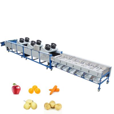 China factory price automatic fruit vegetable sorting apple potato tomato orange avocado onion grading washing size weighing machine for sale