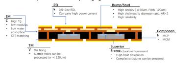 Chine Emballage à l'échelle du panneau de ventilation (FOPLP) - Structure du produit (face vers le haut) - Boule en fil de fer à vendre