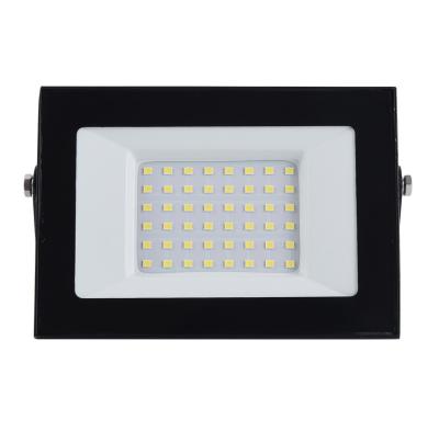 China Best Selling 30W Hotel Products Explosion Proof LED Floodlights for sale