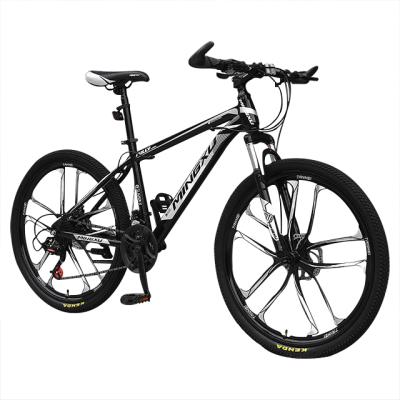 China Fat tire mountain bikes mountain bike Taiwan paint mountain bicycle advanced full carbon electrostatic suspension for sale