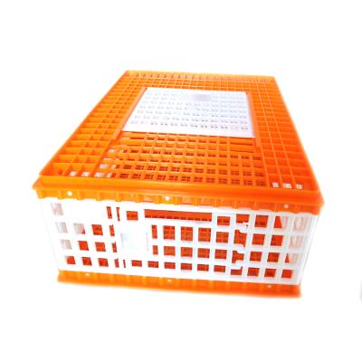 China Easily Assembled Poultry Carrier Crate For Chicken Transport Cage for sale