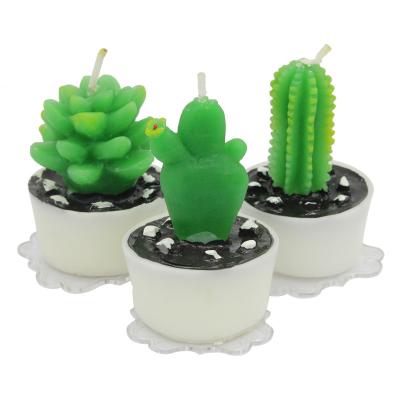 China Factory Direct Selling Home Decor Party Decoration Support Plant Candle Cactus Flameless Hot Selling Candle Beautiful for sale