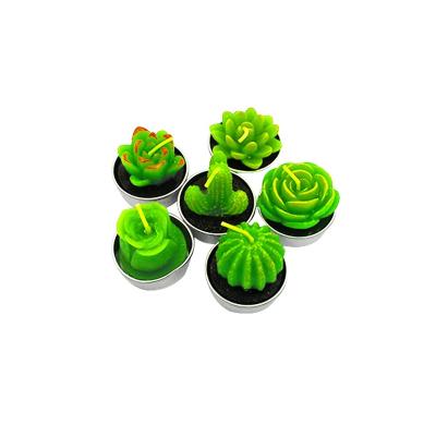 China Flameless Scented Candle Gift Set Green Plant Tealight Candle For Party And Home Decoration for sale