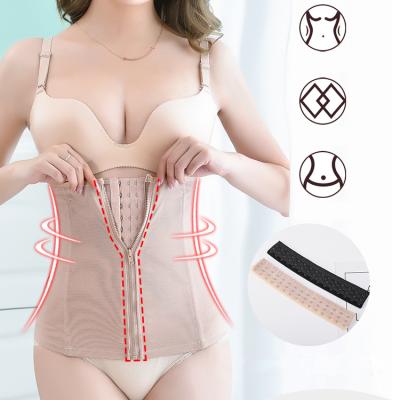 China Workable Women Shapers 7 Bone PE Waist Trainer Front Zipper Shaper Tummy Control Waist Slimming Corset Women Bulge Slimming Shapers for sale