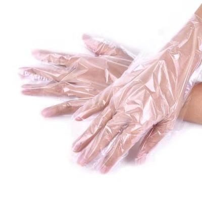 China High Quality Embossed Food Processing Pe Gloves for sale