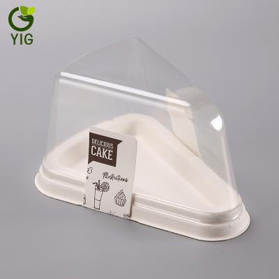 China High Quality Biodegradable Food Grade Bagasse Triangle Shape Cake Blister Box for sale