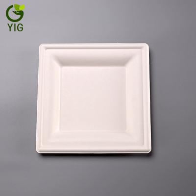 China 8 Inch Square Disposable Biodegradable Sugar Cane Pulp Eco - Friendly Store for sale