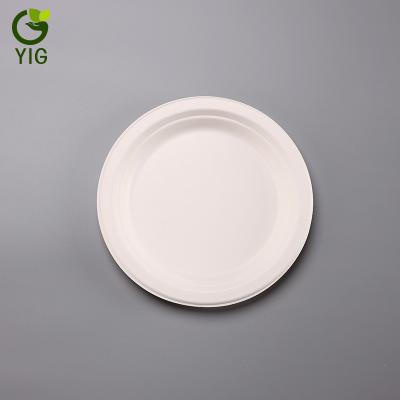 China 7 Inch Party Paper Plate Eco Friendly Round Disposable Sugarcane Bagasse Bagasse Disposable Dish for sale