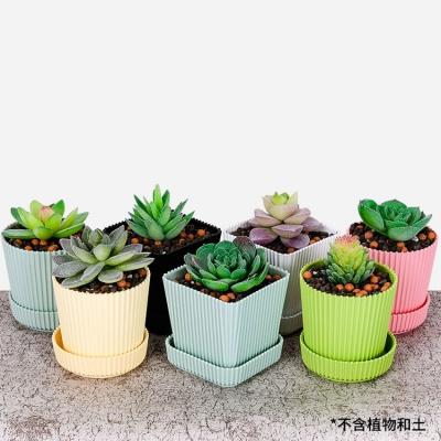 China CLASSIC Mutl Color Mini Outdoor Plastic Flower Pots Planted for sale