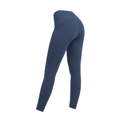 China Low Price Popular Gym Rib Stitching Women Yoga Pant Low Price Breathable Slim Fit Pants for sale