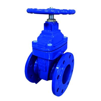 China General With DN50 Price Cast Iron Pn16 PN10 Resilient Seated Water Din 3352 Seated Door Flanged Valve for sale