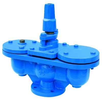 China General Ductile Iron Flange Air Release Valve Ball Air Release Valve Price for sale