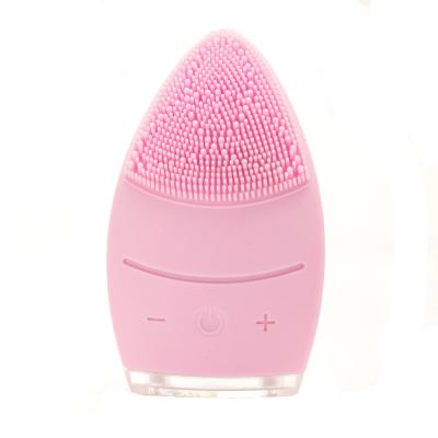 China RUIXINLI Waterproof Hot Selling Sailing Boat Shape Rechargeable Sonic Electric Silicone Facial Washing Brush for sale