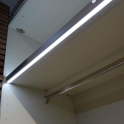 China Hot Sale Modern Two Layer Cabinet Led Shelf Sensor Switch Light Led Cabinet Wardrobe Led Light For Furniture for sale