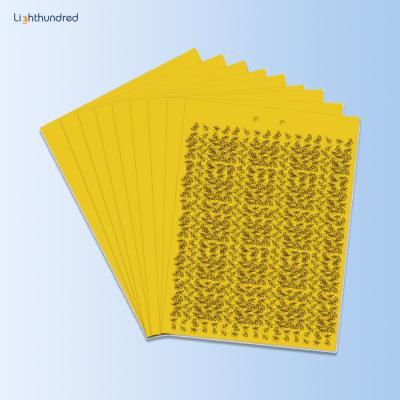 China Viable Yellow Blue Glue Board Double Sided Fly Killer Traps Sticky Insect Board Fly Killer for sale