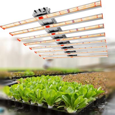 China VEG+BLOOM+COB Dimmable LED Grow Light 8 Bar 10 Bar 720W 800W 1000W Full Spectrum Indoor Plants 600W LED Grow Light for sale